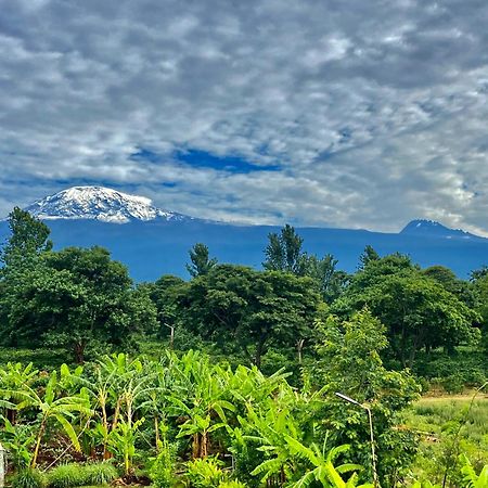 Mount Kilimanjaro 360 View Cottage Uru Eksteriør bilde