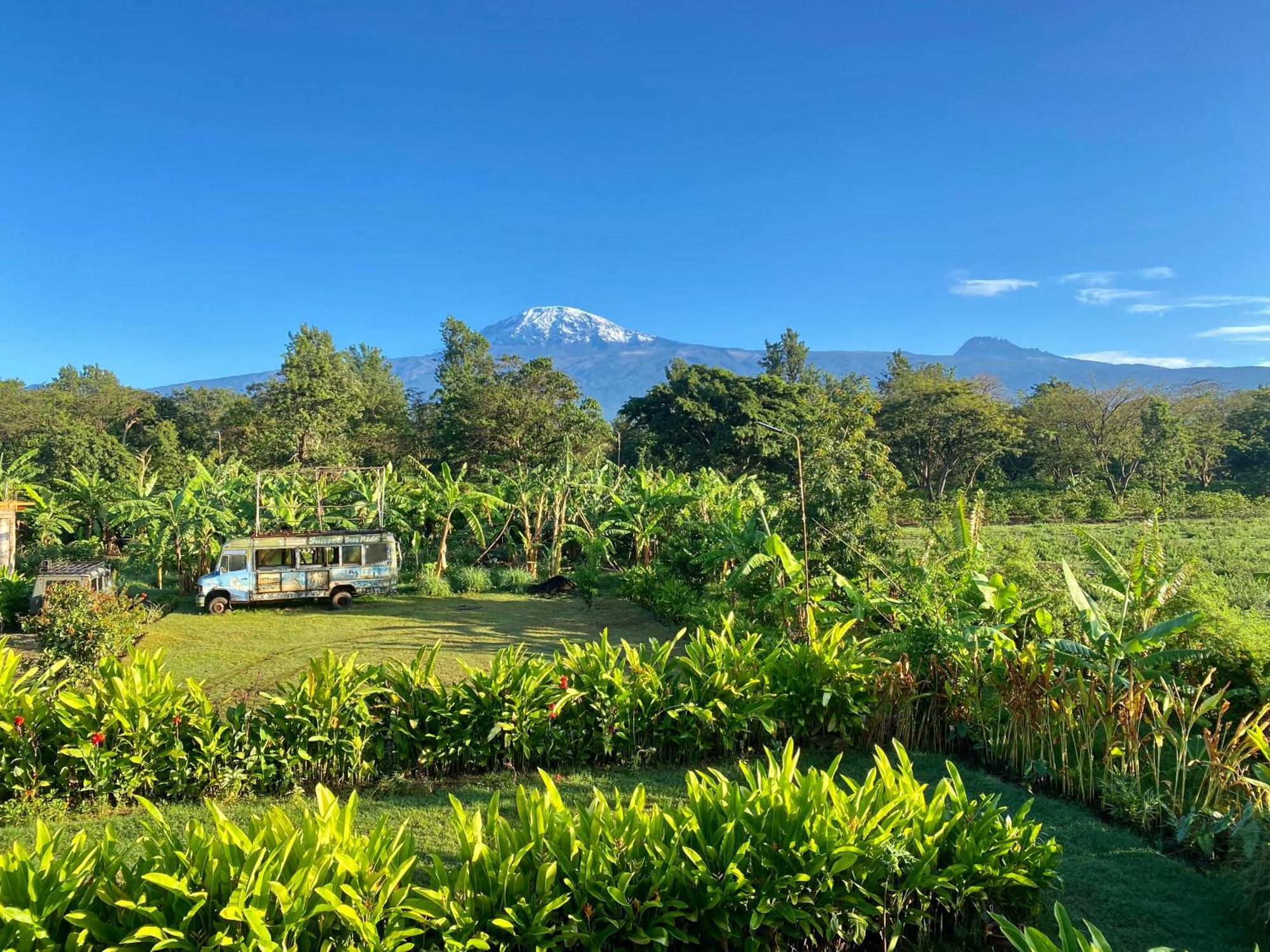Mount Kilimanjaro 360 View Cottage Uru Eksteriør bilde