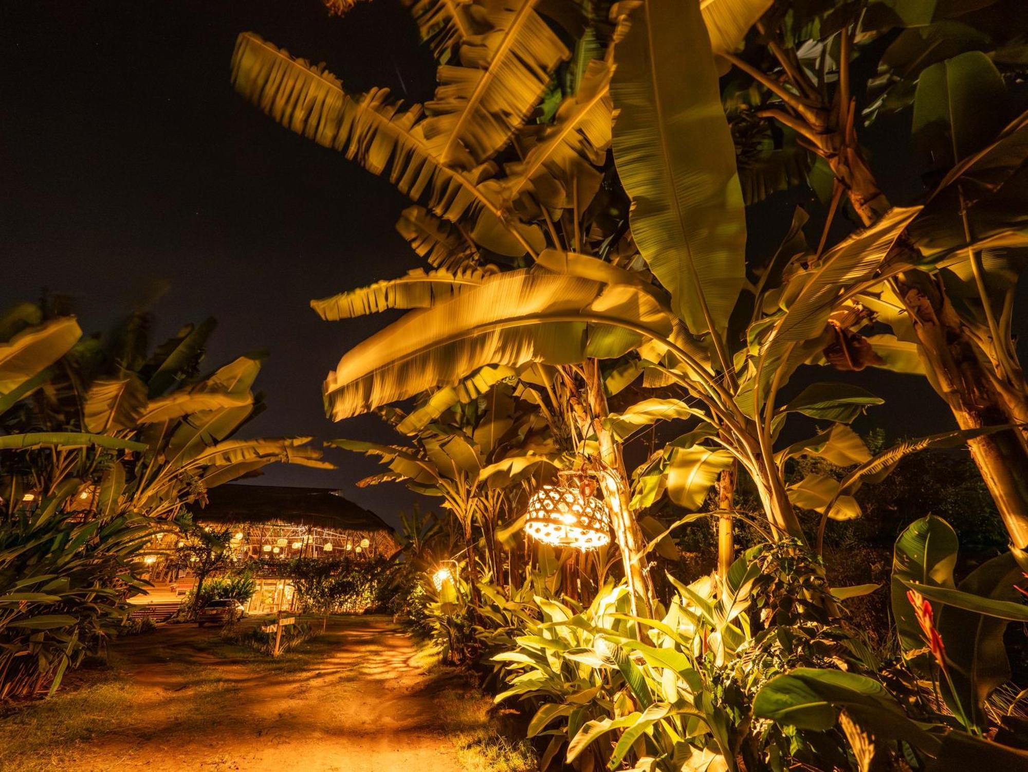 Mount Kilimanjaro 360 View Cottage Uru Eksteriør bilde