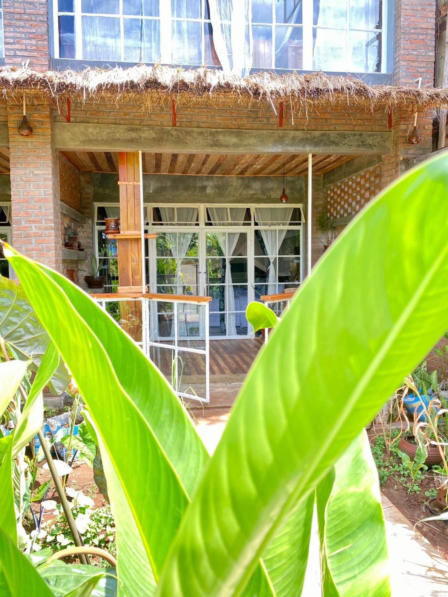 Mount Kilimanjaro 360 View Cottage Uru Eksteriør bilde