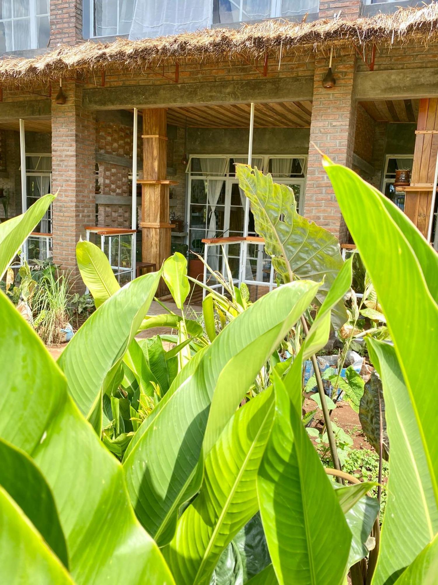 Mount Kilimanjaro 360 View Cottage Uru Eksteriør bilde