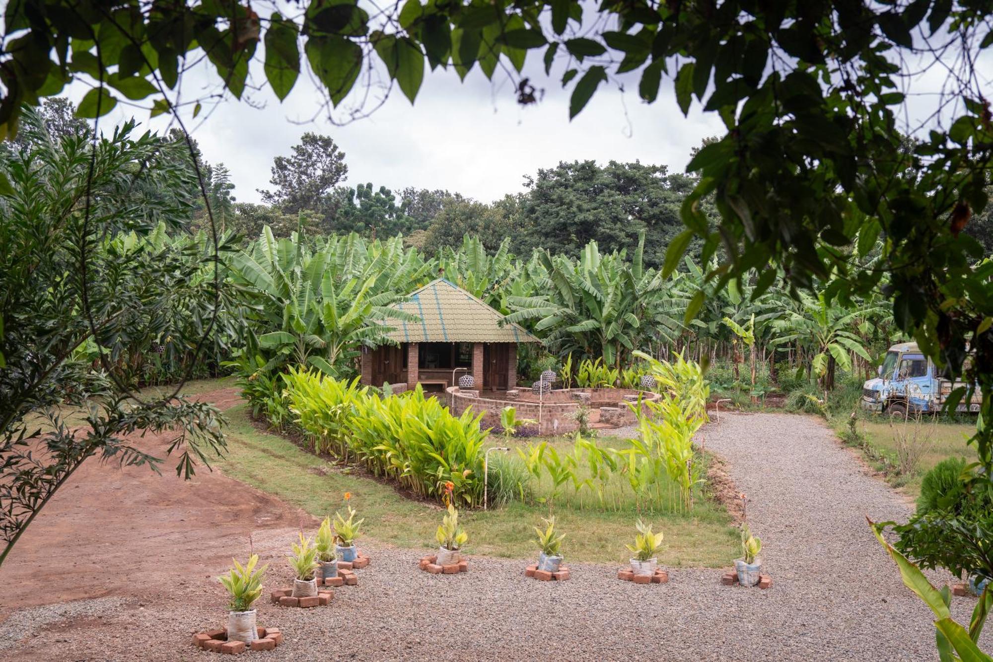 Mount Kilimanjaro 360 View Cottage Uru Eksteriør bilde