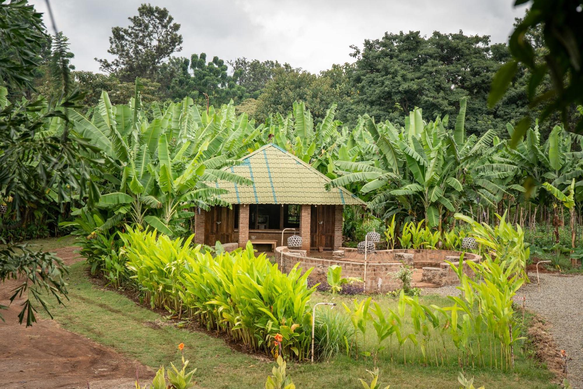 Mount Kilimanjaro 360 View Cottage Uru Eksteriør bilde