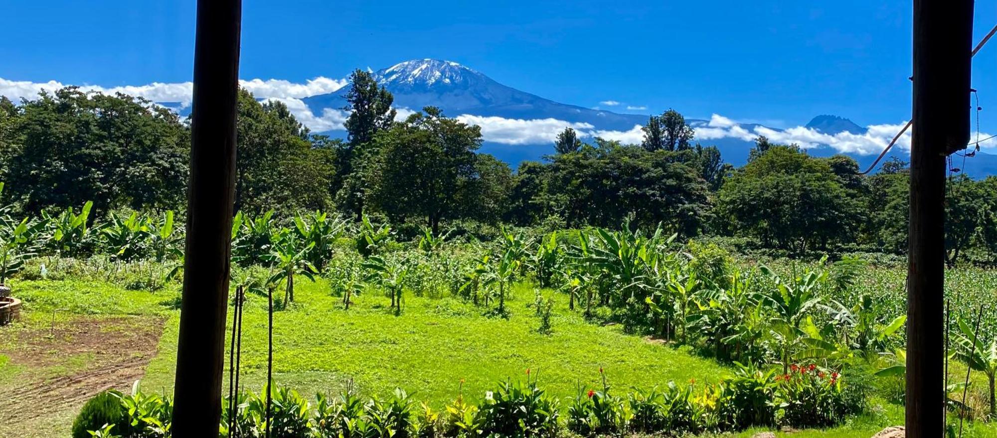 Mount Kilimanjaro 360 View Cottage Uru Eksteriør bilde
