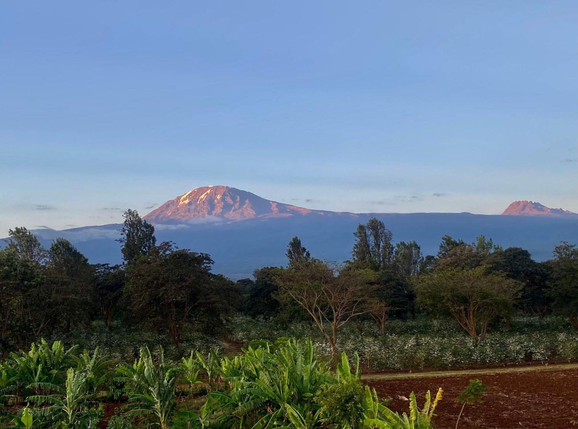 Mount Kilimanjaro 360 View Cottage Uru Eksteriør bilde