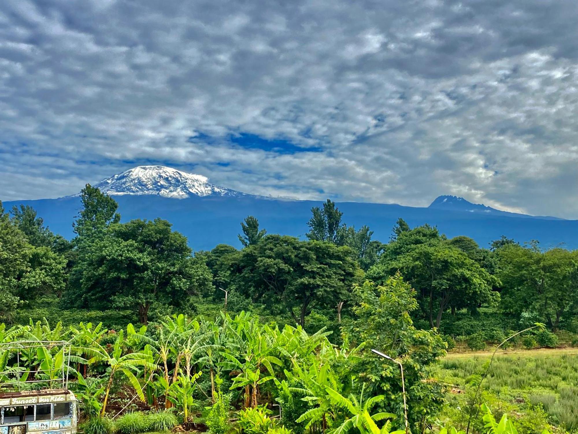 Mount Kilimanjaro 360 View Cottage Uru Eksteriør bilde